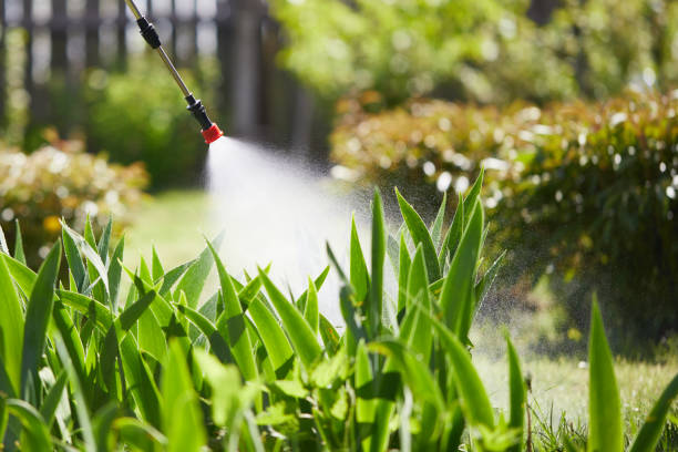 24/7 Emergency Wasp Removal experts in Bayview, CA