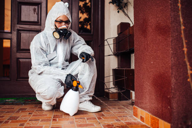 Reliable Wasp Removal contractor in Bayview, CA by Show Me Pest Control